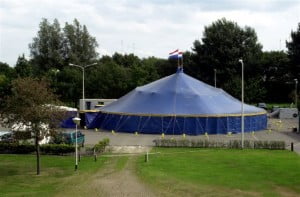 Back Stage Kitty Hagen Blue Dream