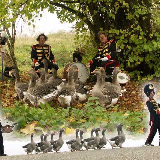 Back Stage Kitty Hagen ganzenfanfare dieren act