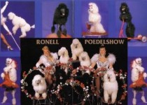 Back_Stage_Kitty_Hagen_hondenshow_dierenact Back_Stage_Kitty_Hagen_hondenshow_dierenact