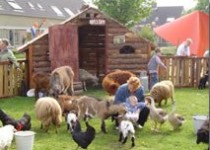 Back_Stage_Kitty_Hagen_mobiele_kinderboerderij Back_Stage_Kitty_Hagen_mobiele_kinderboerderij