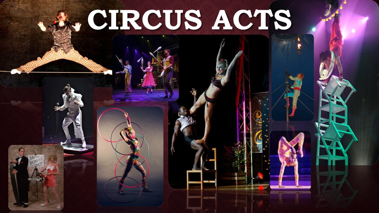 Artiesten en Circusacts