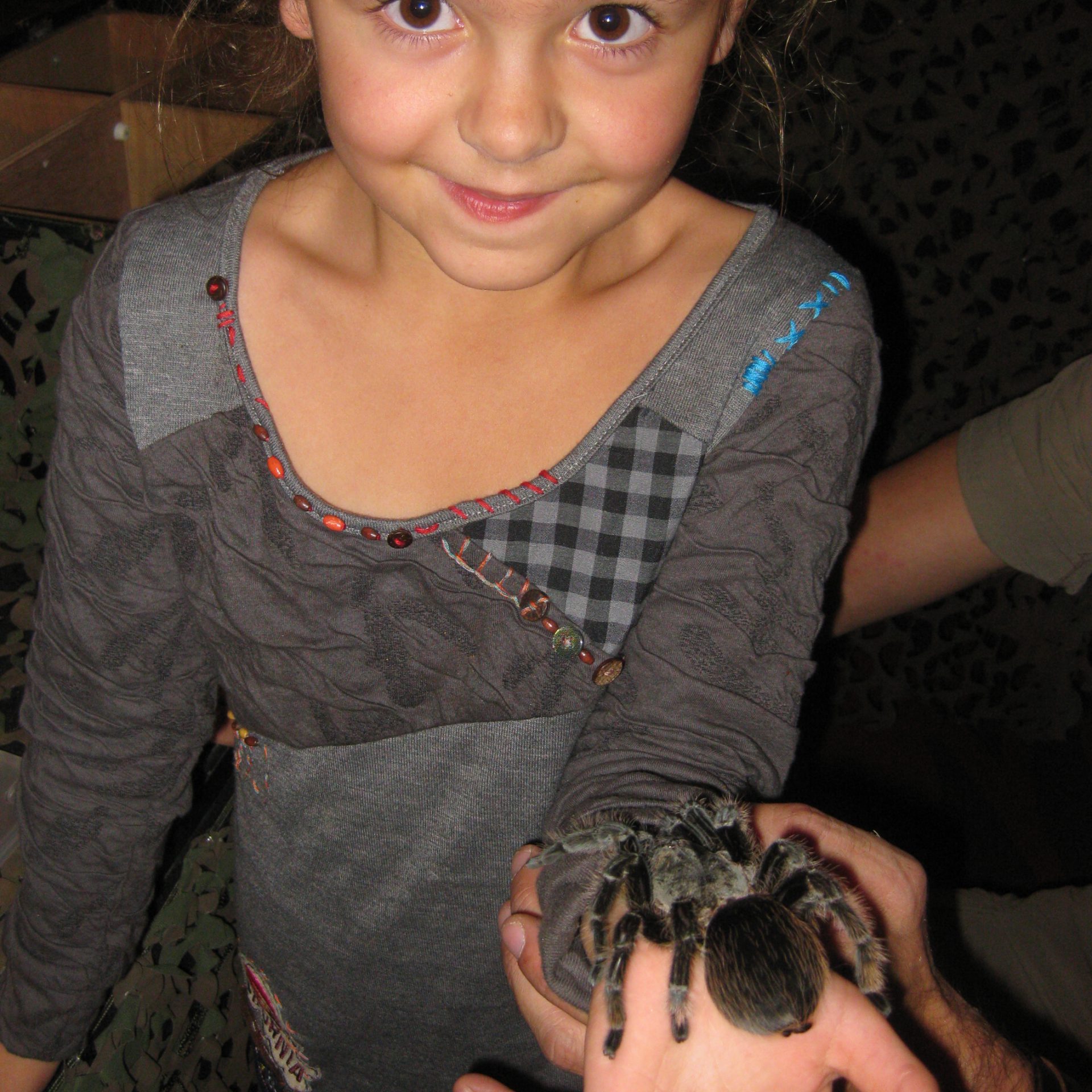 Workshops Teambuilding Educatie