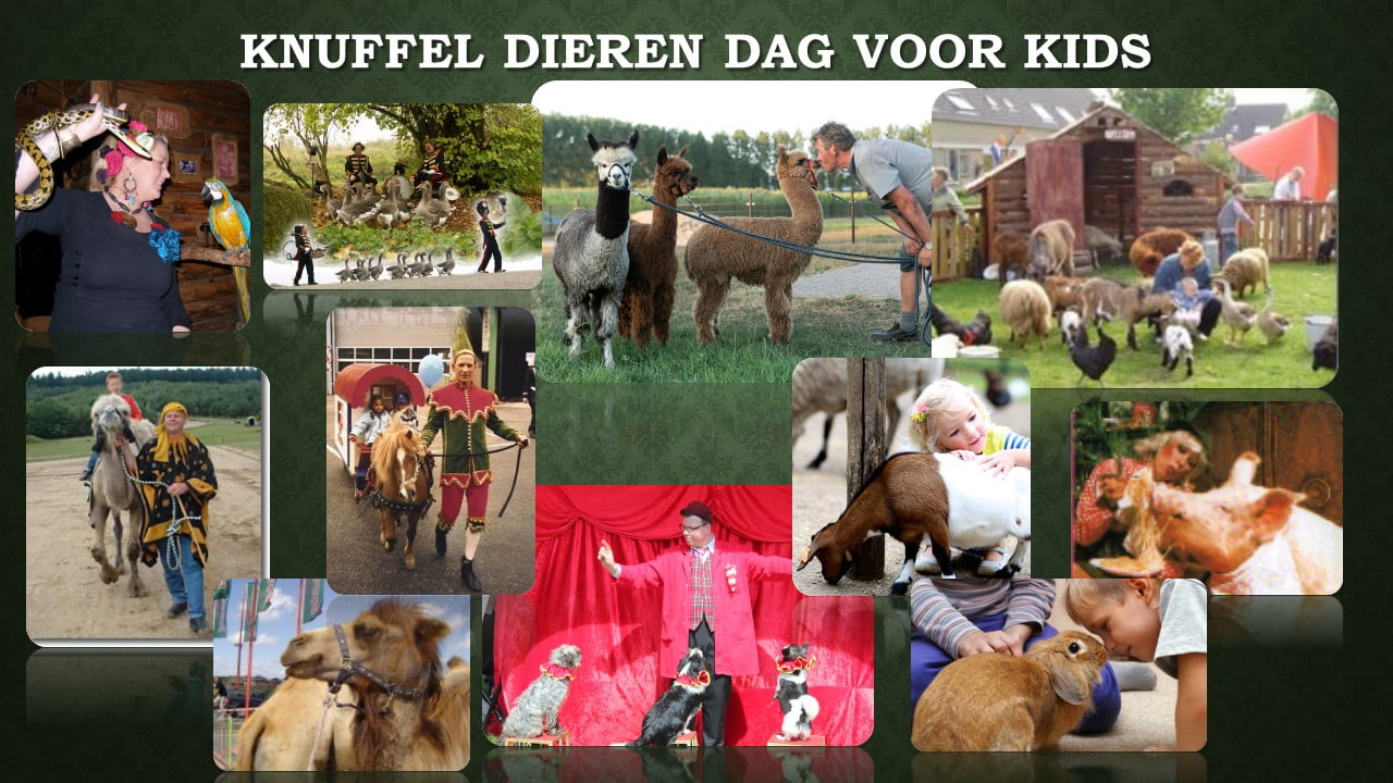 Kindervermaak en Seizoenspecials