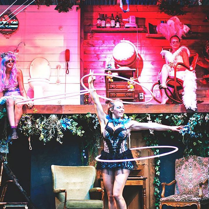 Artiesten en Circusacts