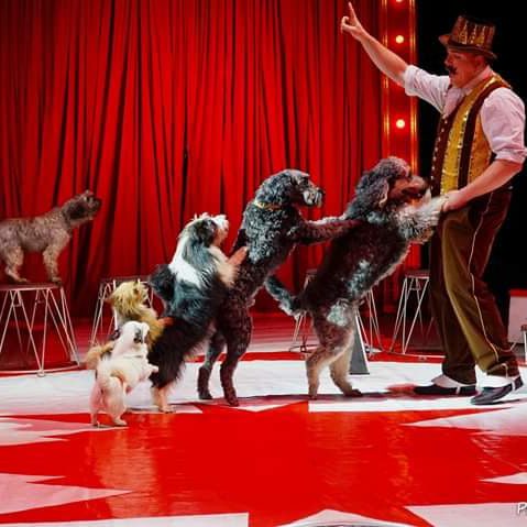 Artiesten en Circusacts