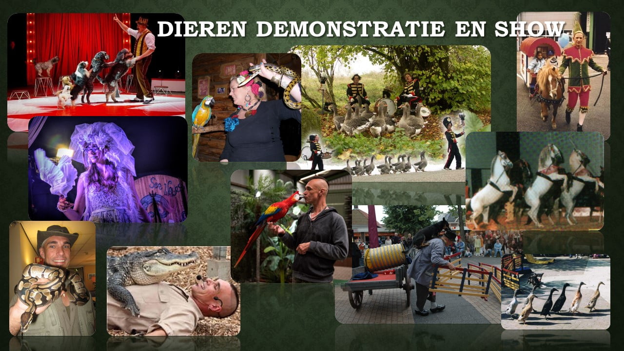 Dieren demonstratie en show Back Stage Kitty Hagen