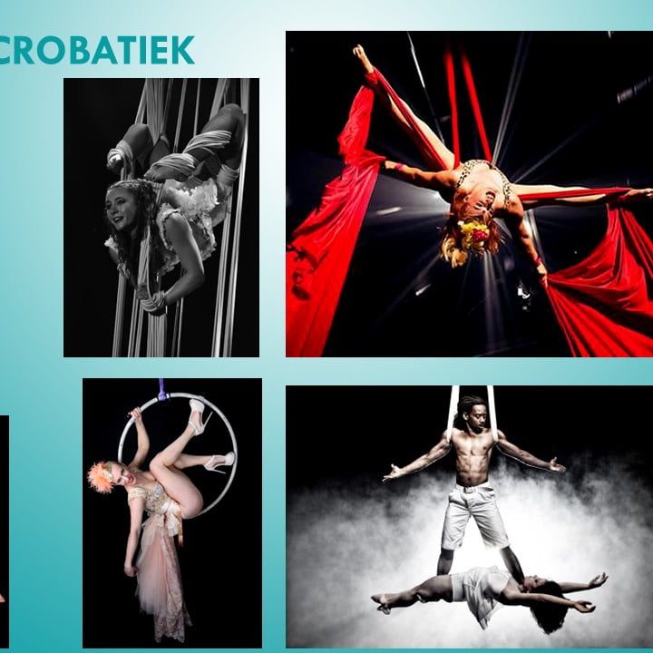 luchtacrobatiek inhuren