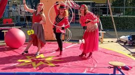 festival  workshop festival  workshop